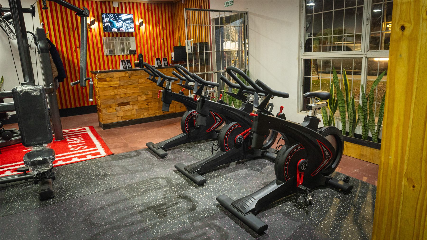 Hercules Gym 01
