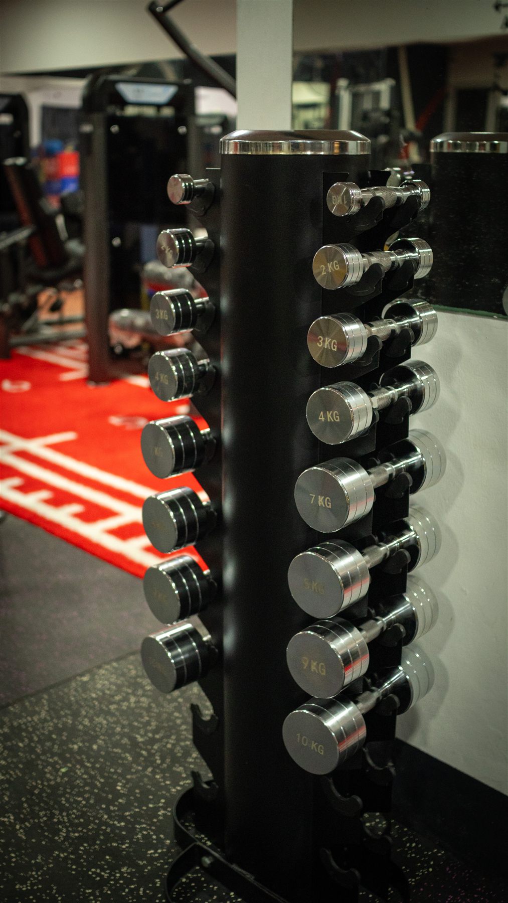 Hercules Gym 11