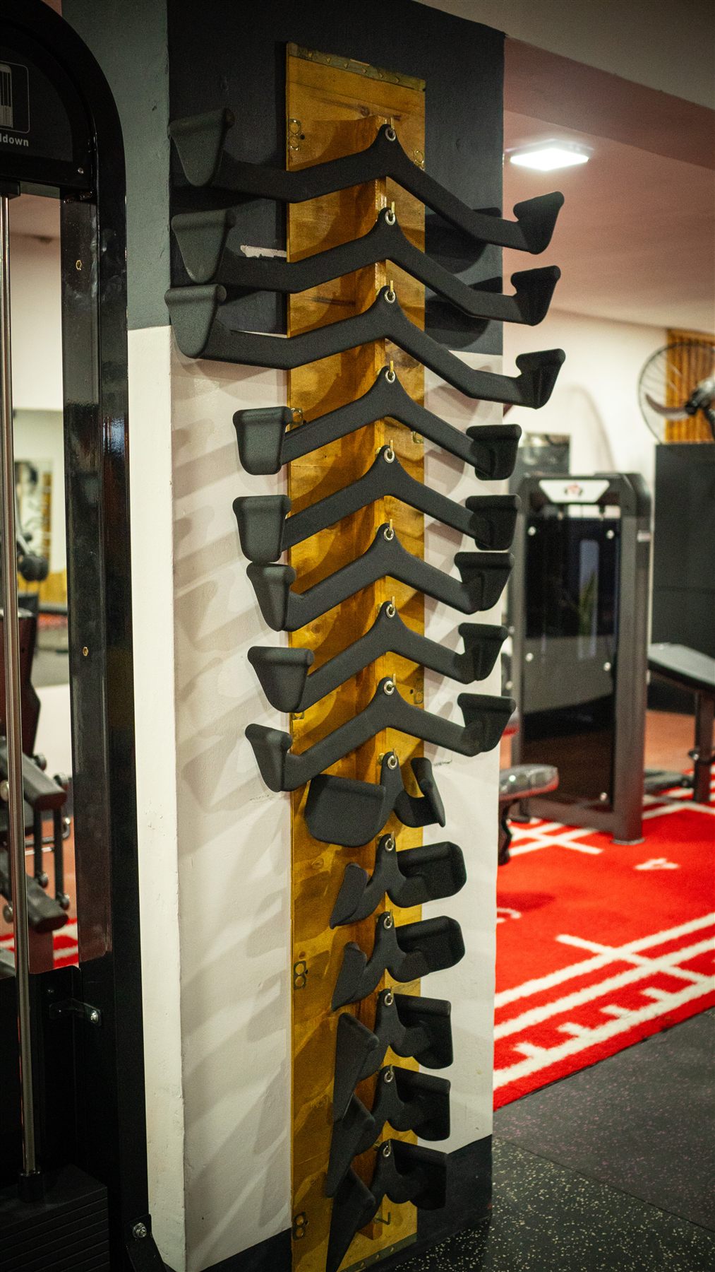 Hercules Gym 24