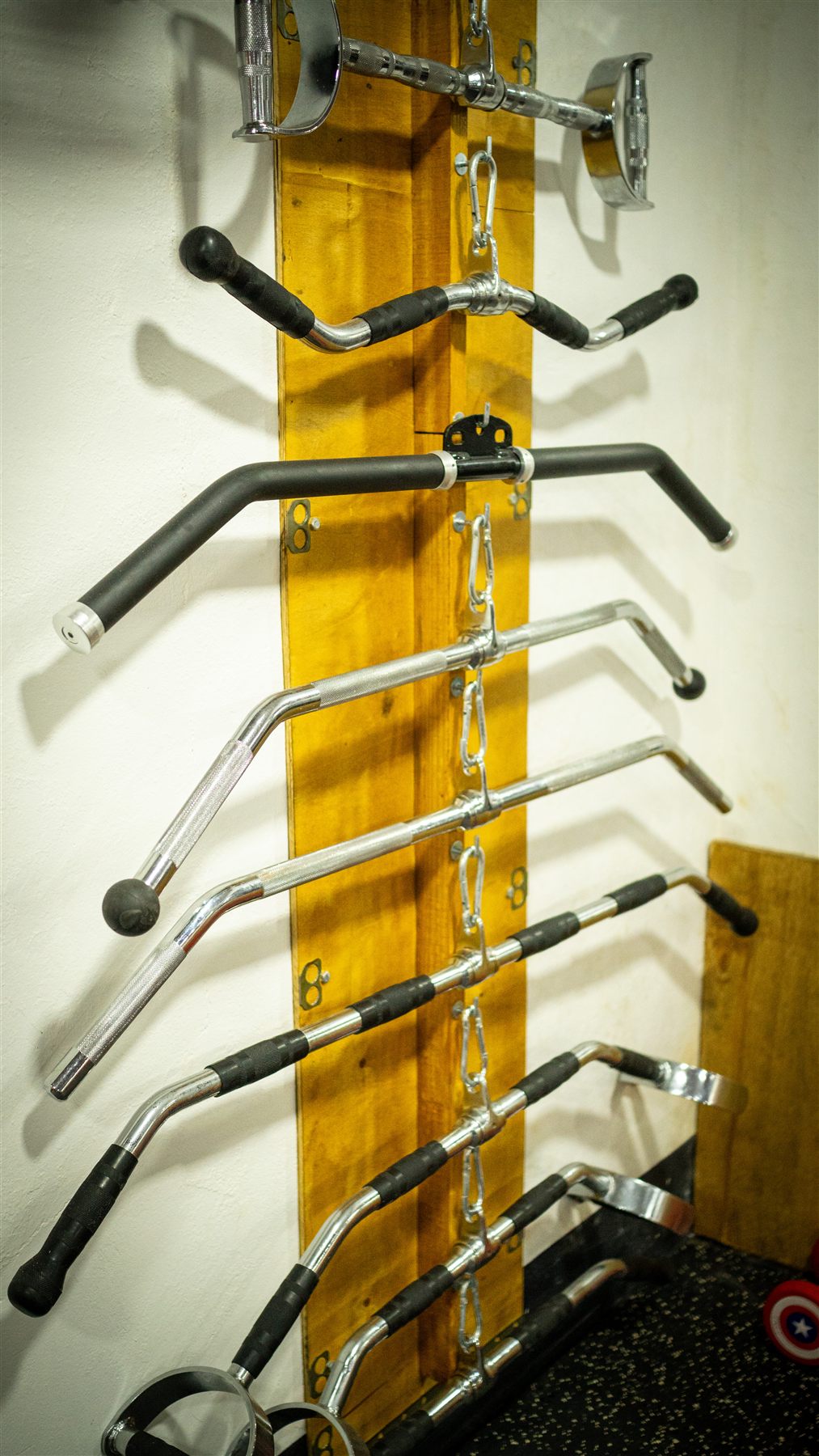 Hercules Gym 25