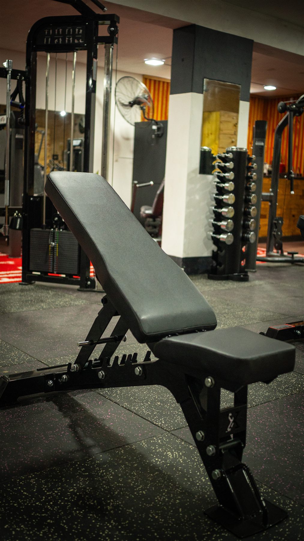Hercules Gym 28