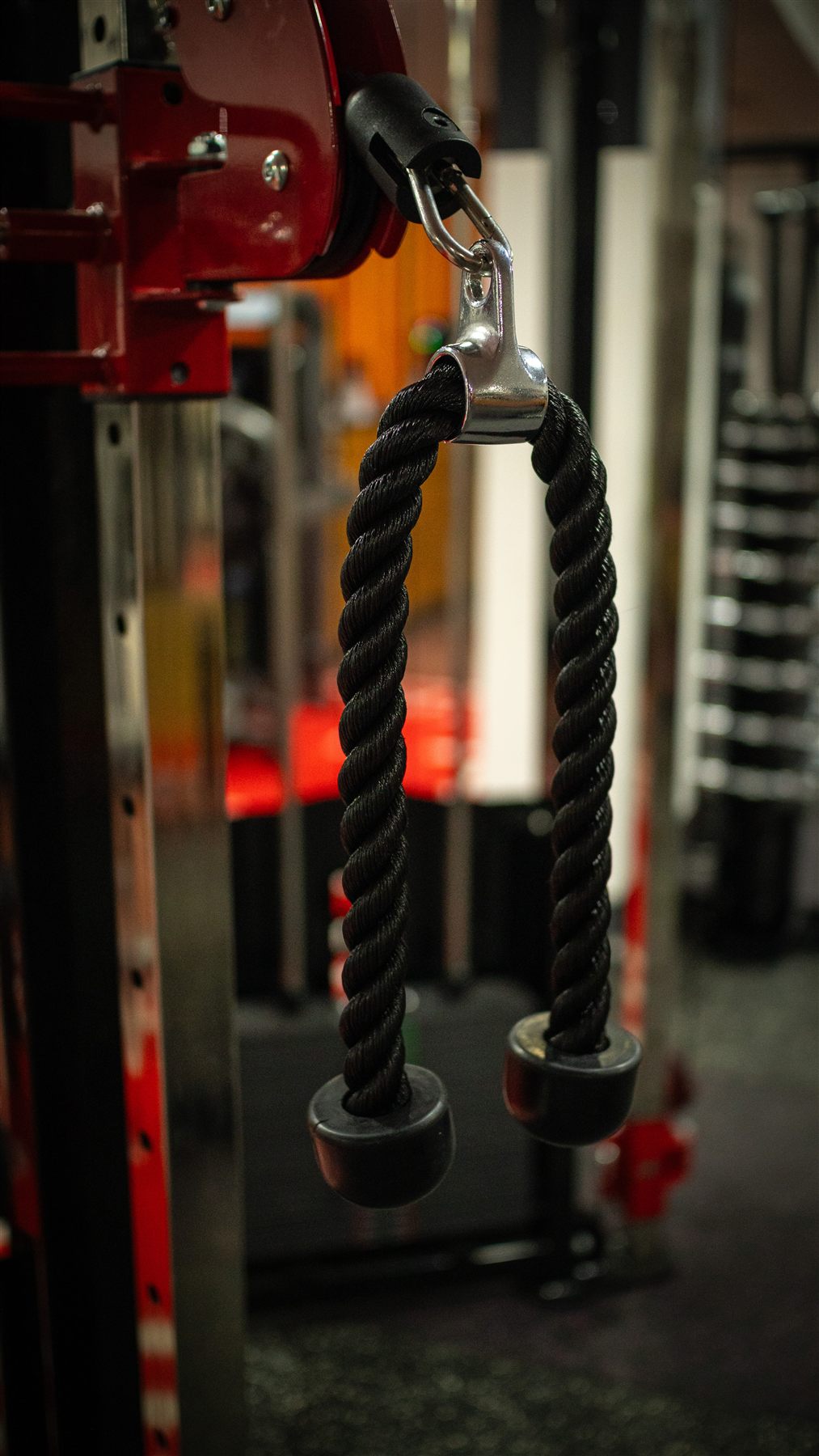 Hercules Gym 30