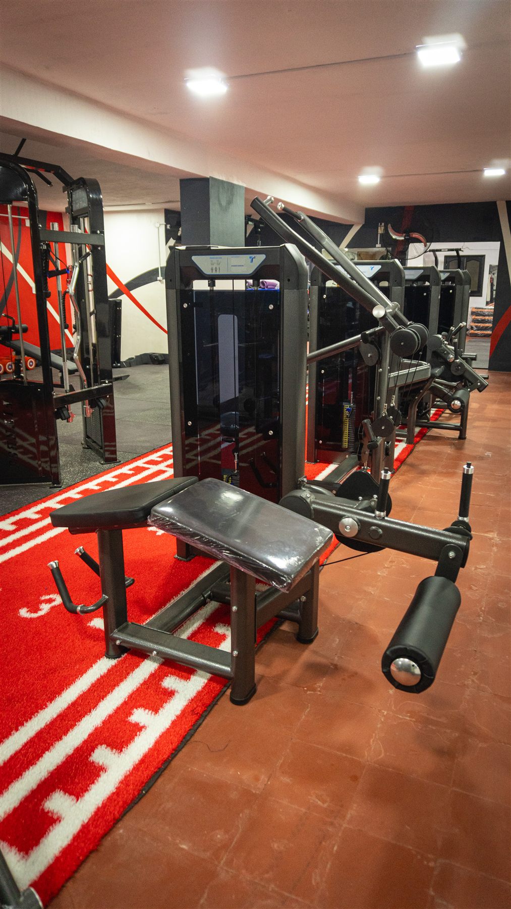 Hercules Gym 33