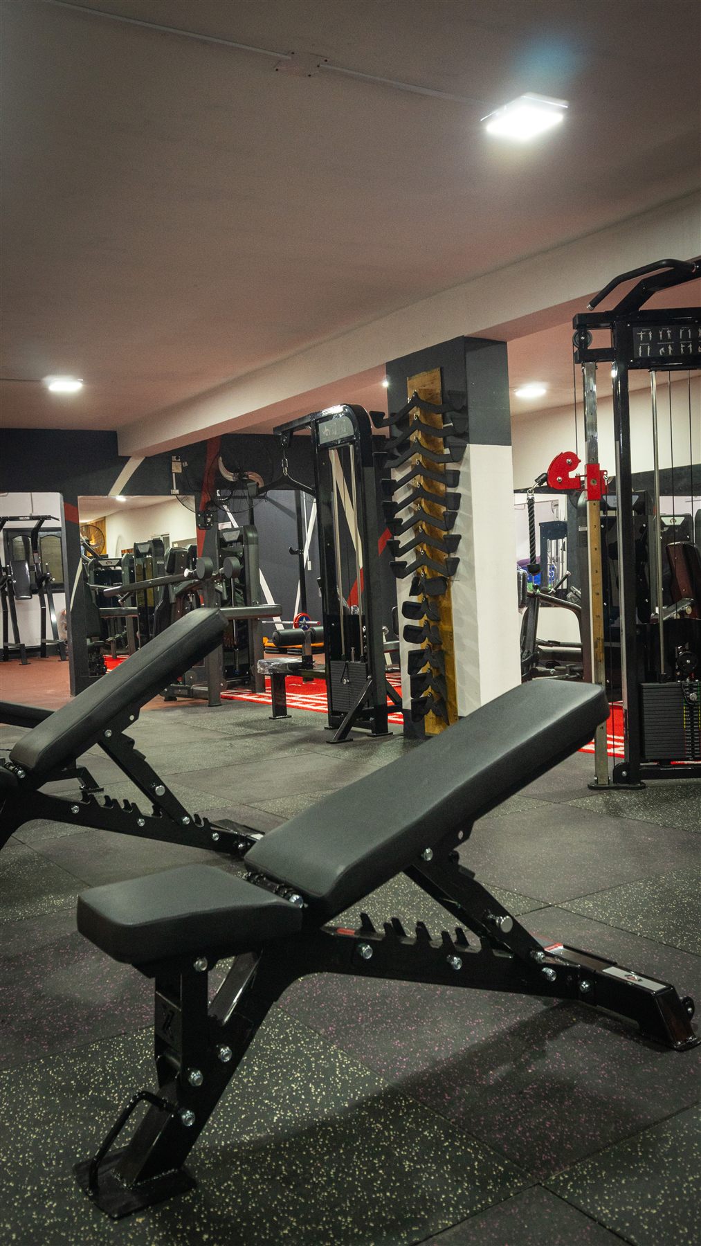 Hercules Gym 38