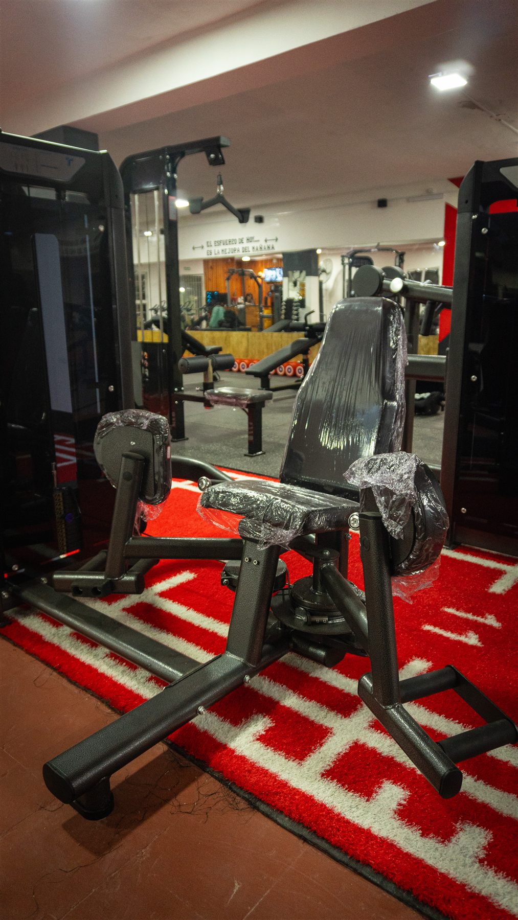 Hercules Gym 39
