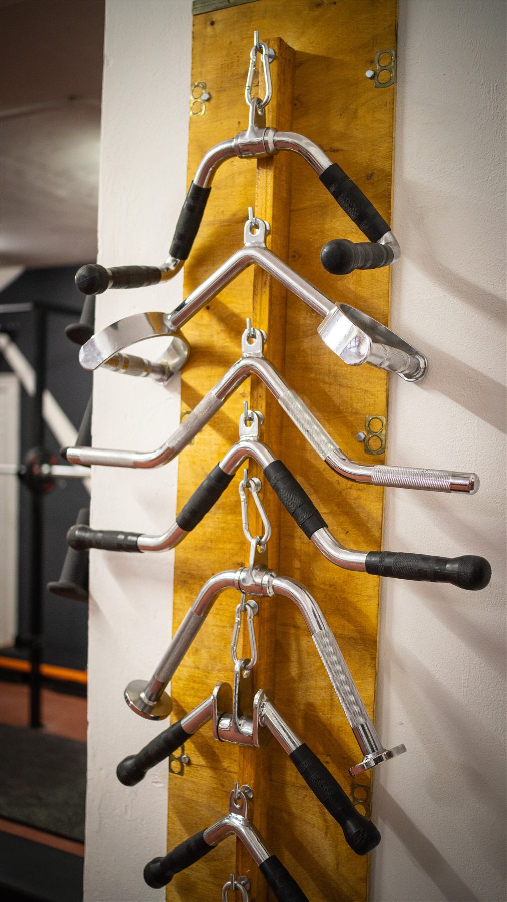 Hercules Gym 40